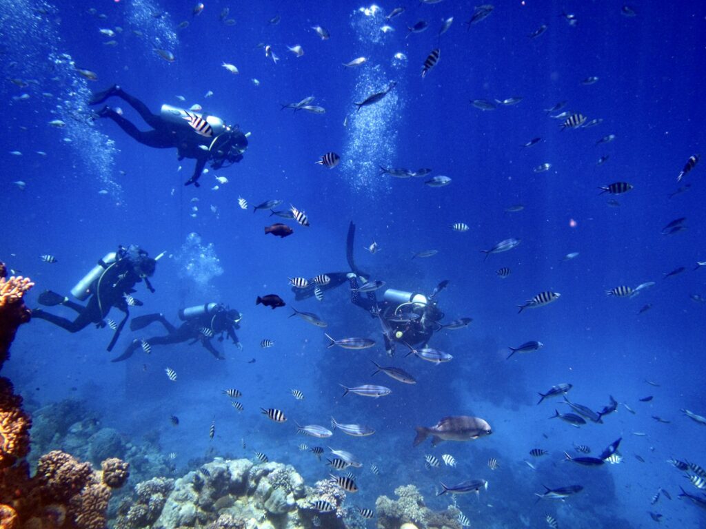 Is a Komodo Yacht Charter Worth It?