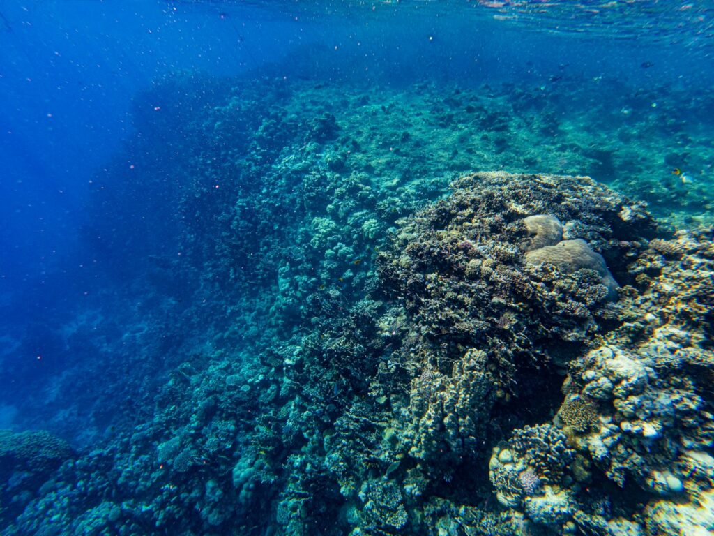 What to Expect on a Komodo Yacht Charter