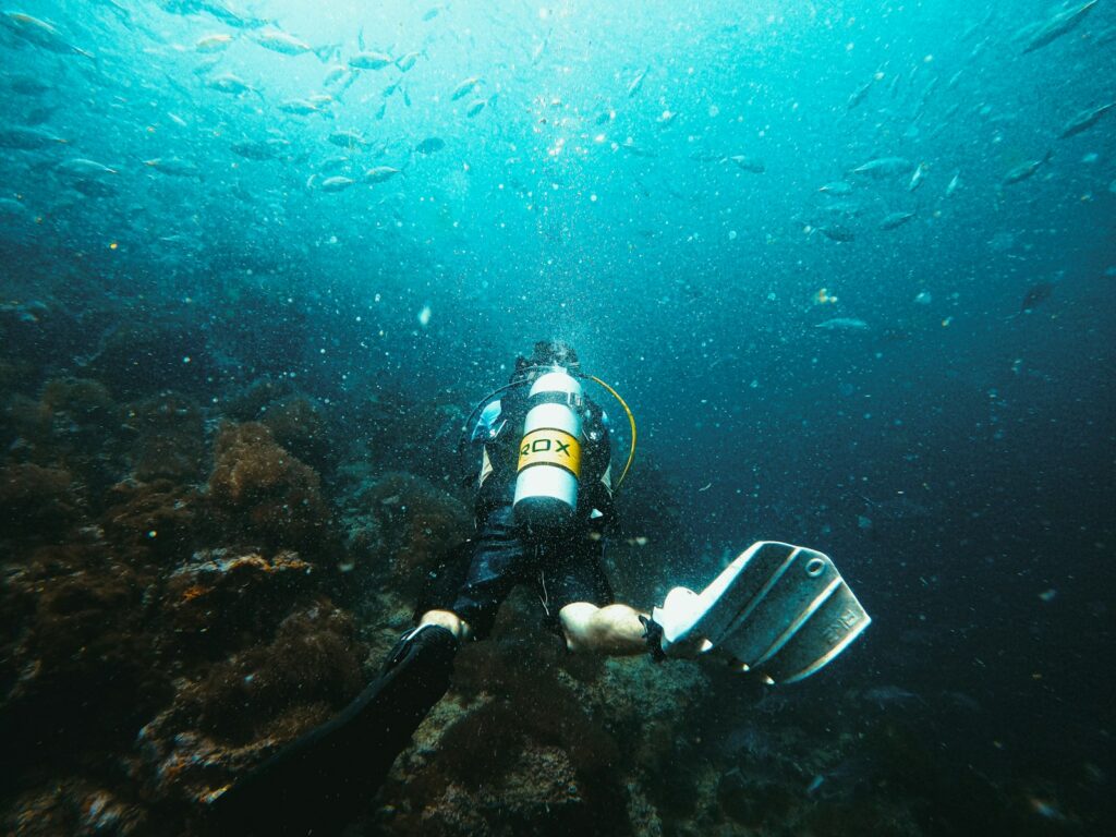 Seeing Komodo Dragons from a Yacht