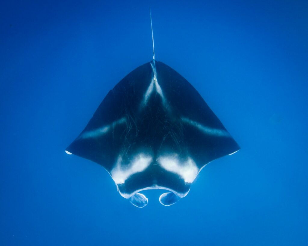 Komodo Yacht Charter Packing List