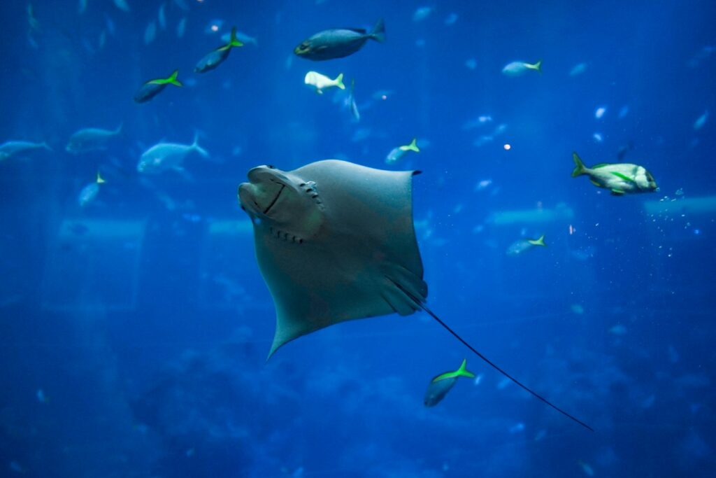 Private Yacht Charter vs Day Trip in Komodo